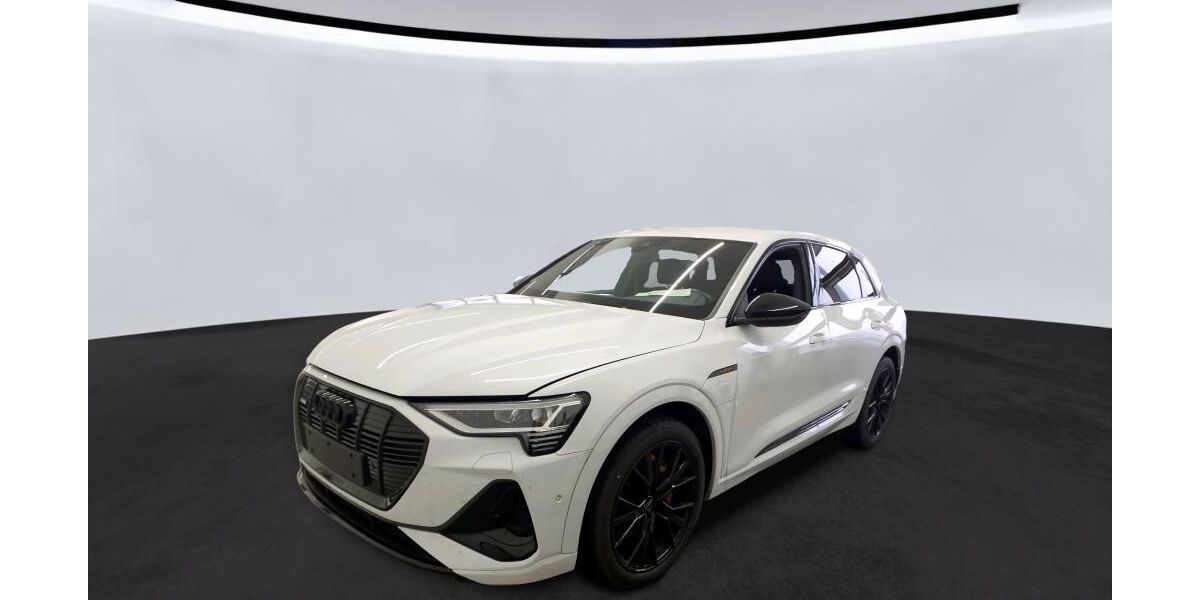 Audi e-tron 58.547 km 31.829 &euro; Hagen 58091