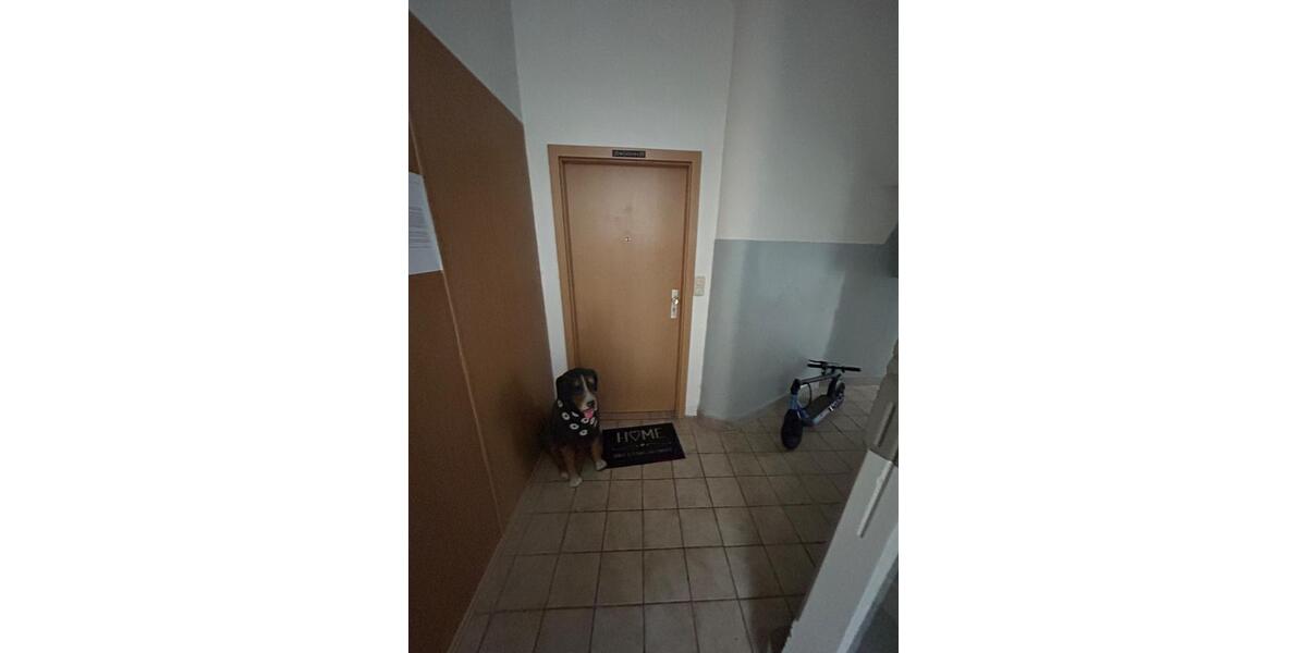 Mehrfamilienhaus, Wohnhaus Hemer - 8 Zimmer, 228 m&sup2;, 330.000&euro; | Angebot:27083333