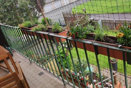 Wohnung Kamen - 3 Zimmer, 73 m&sup2;, 620&euro; | Angebot:25830514