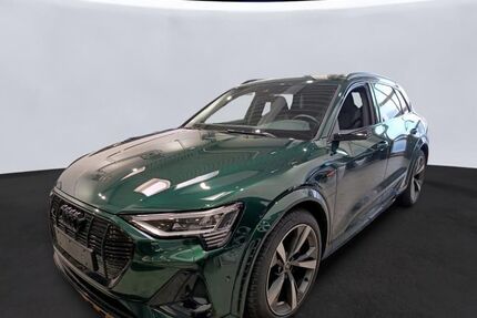 Audi e-tron 107.060 km 38.464 &euro; Hagen 58091