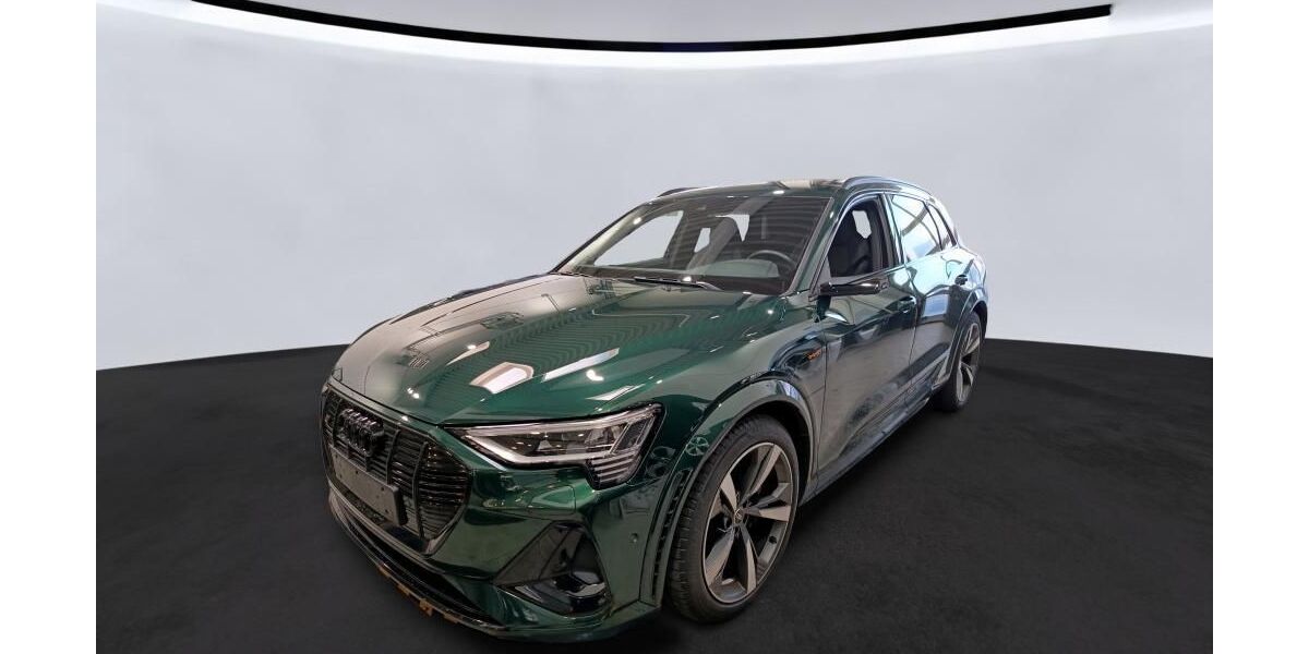 Audi e-tron 107.060 km 38.464 &euro; Hagen 58091